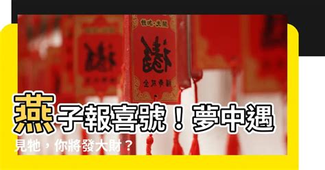 燕子要簽幾號|【燕子代表幾號】夢中遇見燕子是什麼徵兆？揭開「燕子代表幾號。